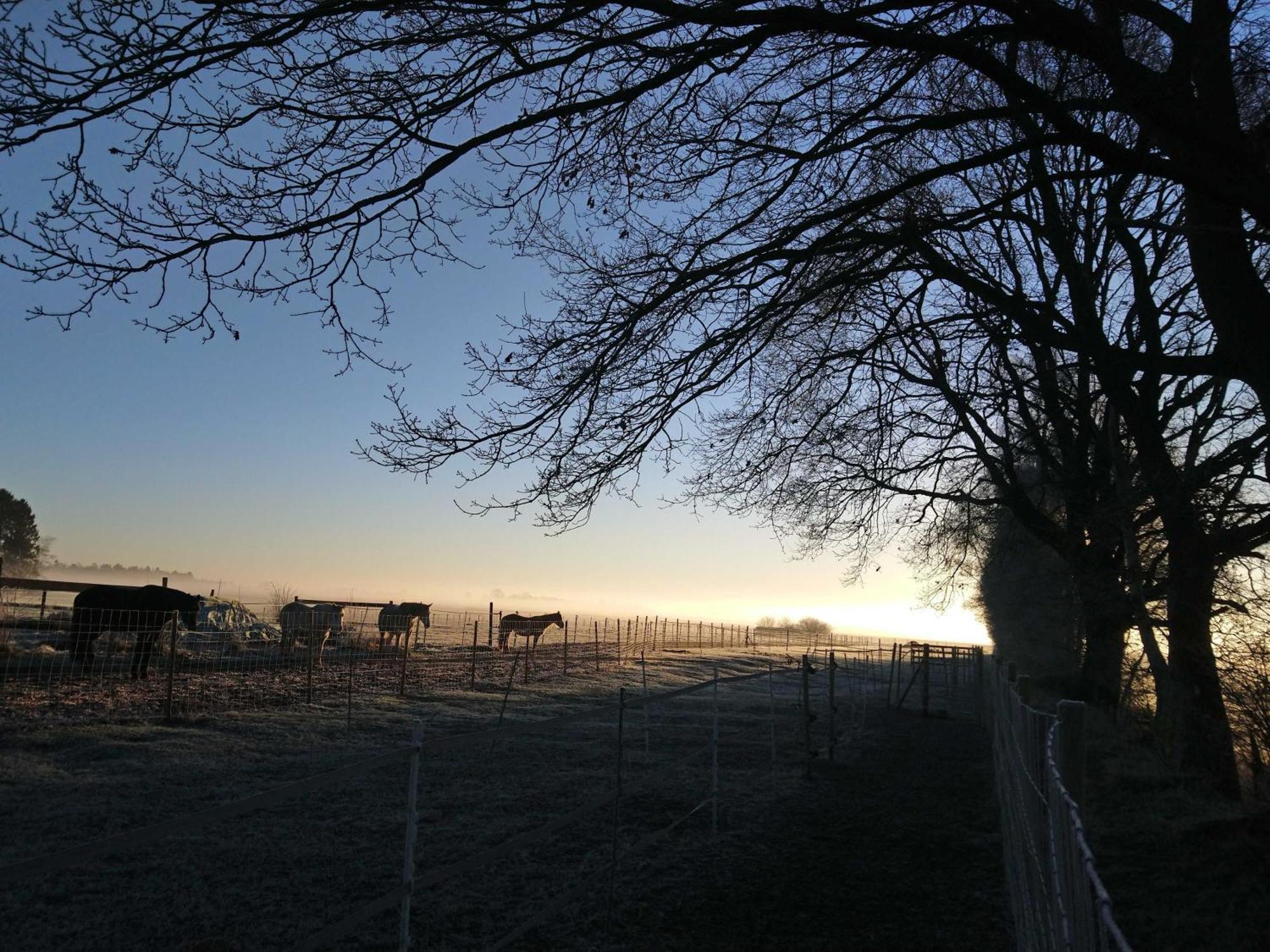 Herzfeldhof Worpswede Exteriér fotografie